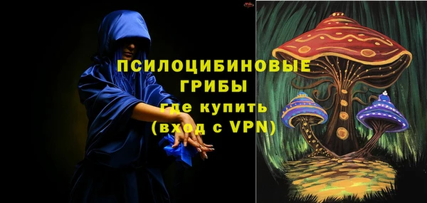 сатива Осинники